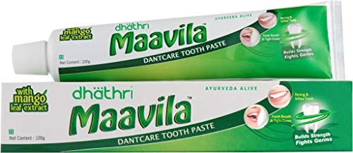 Dhathri Maavila Toothpaste 100g