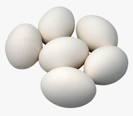 Duck Egg (Mutta)