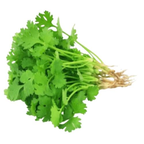 മല്ലിഇല/Coriander Leaves100g