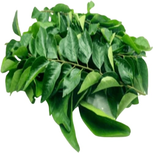 കറിവേപ്പില /Curry Leaves 100g