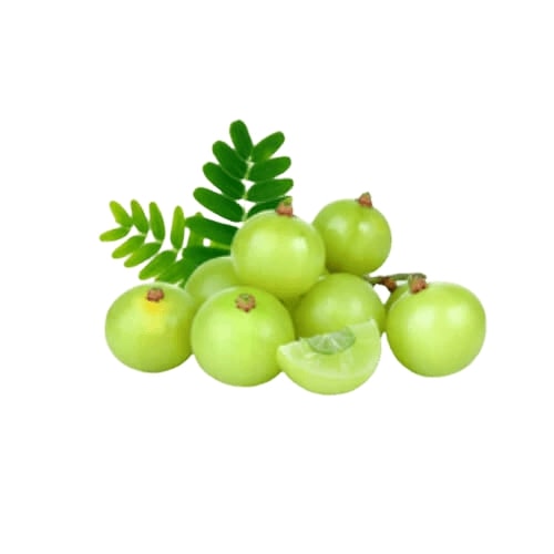 നെല്ലിക്ക/Amla 250g