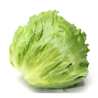 ലെറ്റൂസ് /Iceberg Lettuce 250g