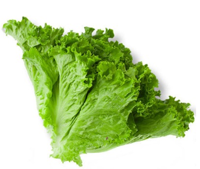 ലെറ്റൂസ്/Lettuce  250g